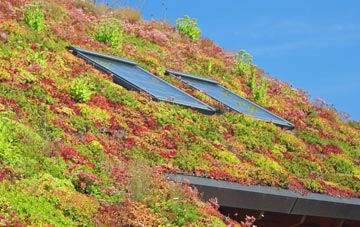 Tunstead Milton living roof systems